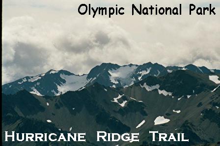 Olympic National Park