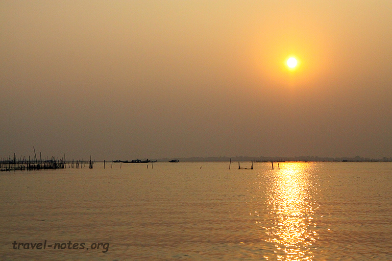 Irrawadi Dolphins, Chilka Lake